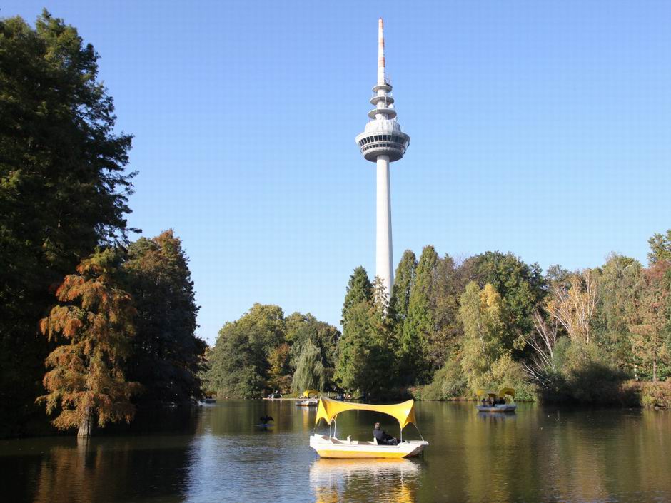 luisenpark mannheim