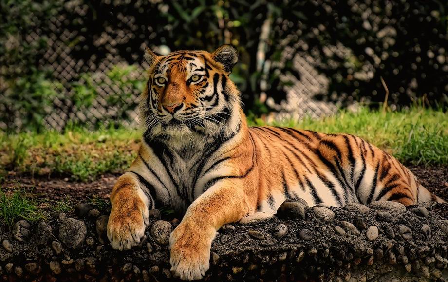München Tierpark Hellabrunn