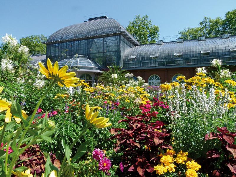 frankfurt palmengarten